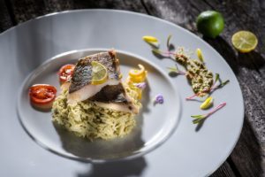 Risotto with Trout Filé